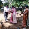 Tree planting program implemented in the office premises - Tree planting program implemented in the office premises